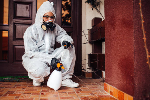 Reliable Bed Bug Control contractor in Copperton, UT by Nex Pest Control